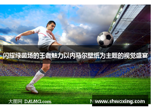 闪耀绿茵场的王者魅力以内马尔壁纸为主题的视觉盛宴