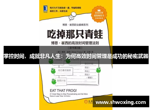 掌控时间，成就非凡人生：为何高效时间管理是成功的秘密武器