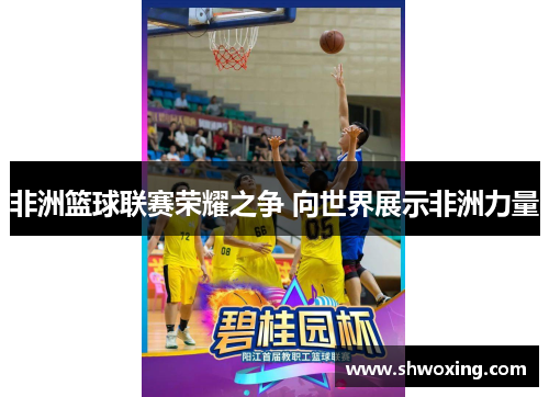 非洲篮球联赛荣耀之争 向世界展示非洲力量