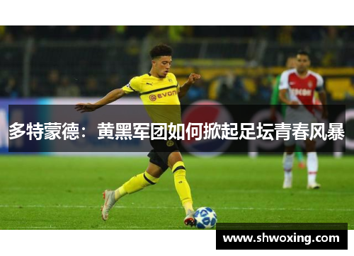 多特蒙德：黄黑军团如何掀起足坛青春风暴