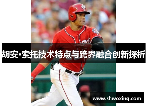 胡安·索托技术特点与跨界融合创新探析