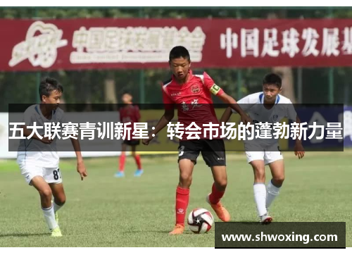 五大联赛青训新星：转会市场的蓬勃新力量
